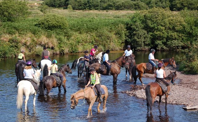 Things to do in Killarney
