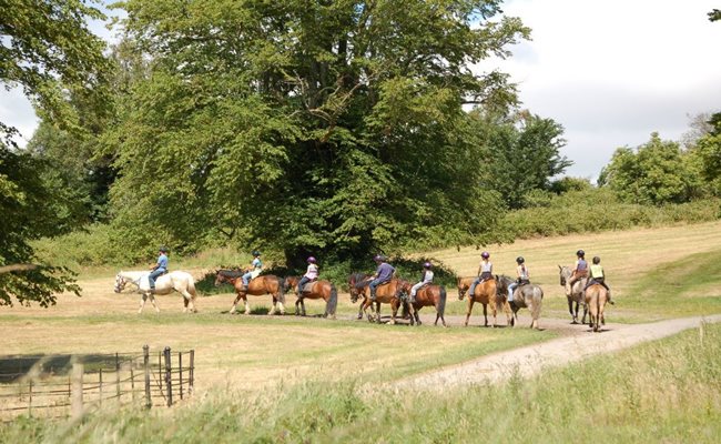 Killarney Riding Stables