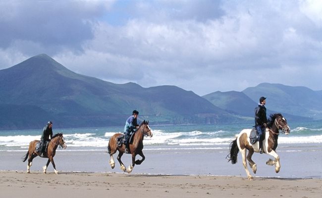 Things to do in Killarney
