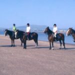 Horse Riding Vacations