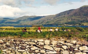 Things to do in killarney